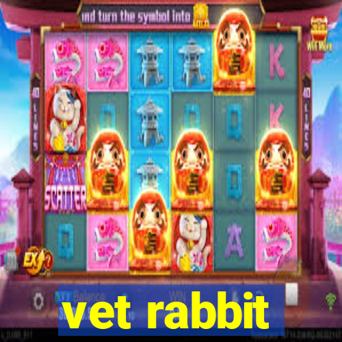 vet rabbit